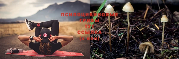 прущая мука Абаза