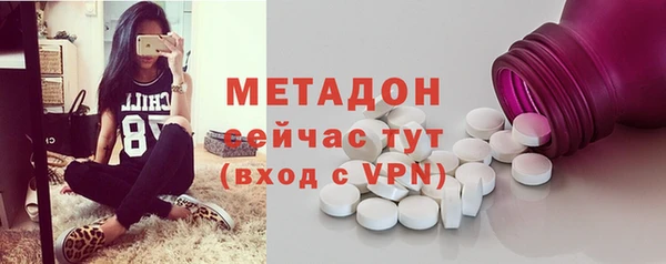 прущие грибы Алзамай