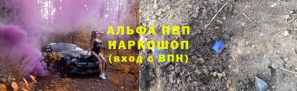 прущие грибы Алзамай