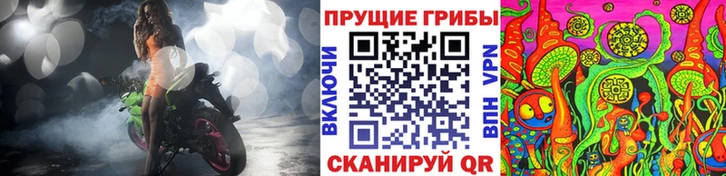 OMG ссылка Кемерово Псилоцибиновые грибы мухоморы